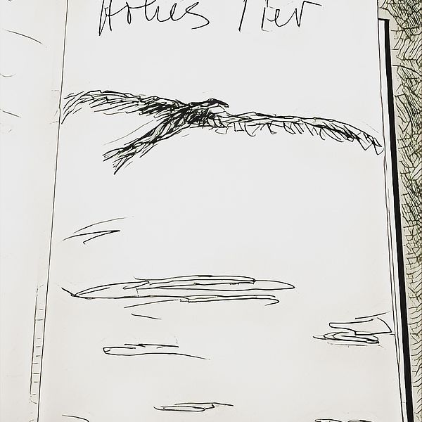 Hohes Tier
